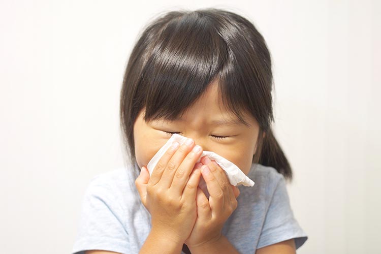 アレルギー性鼻炎のイメージ画像